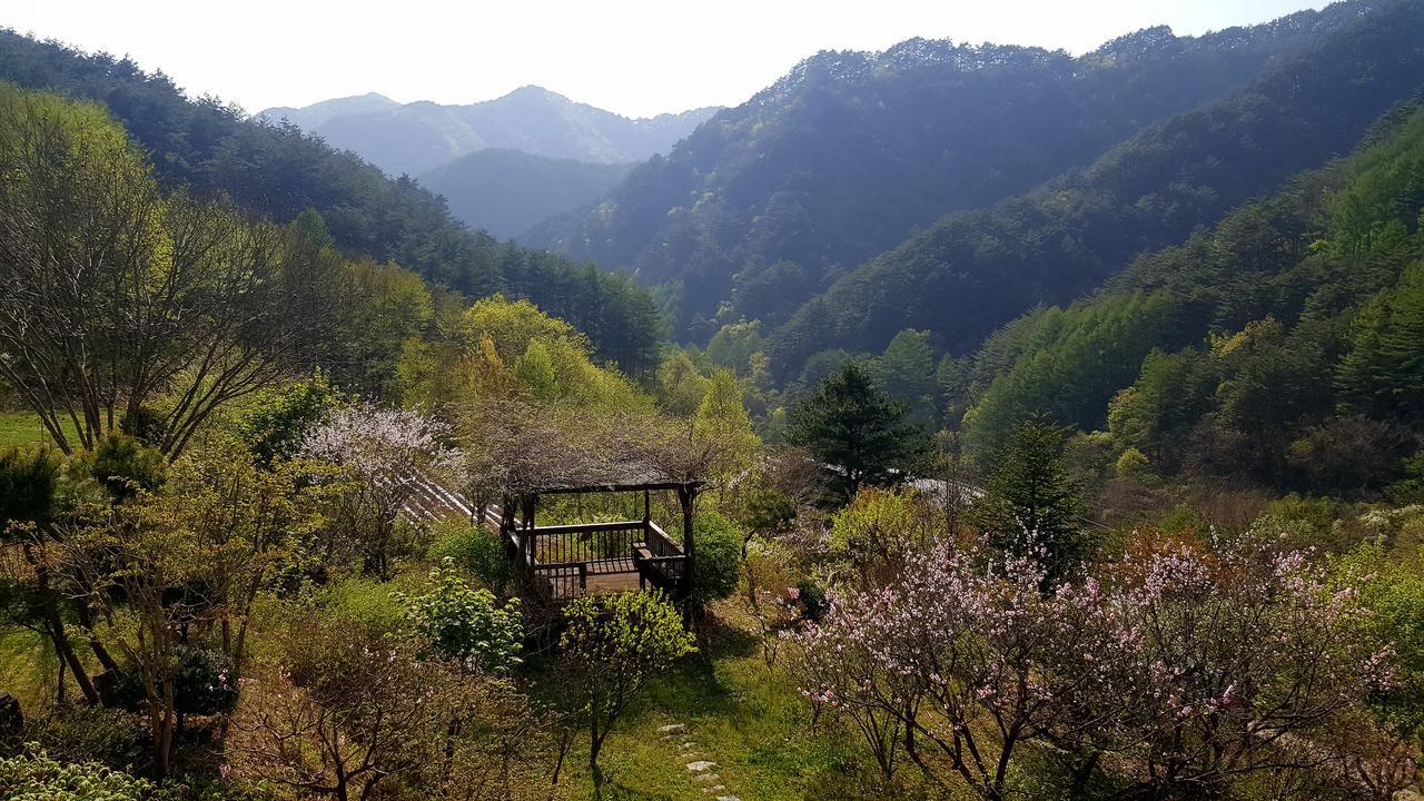 Fairy Tale Pension 平昌 外观 照片