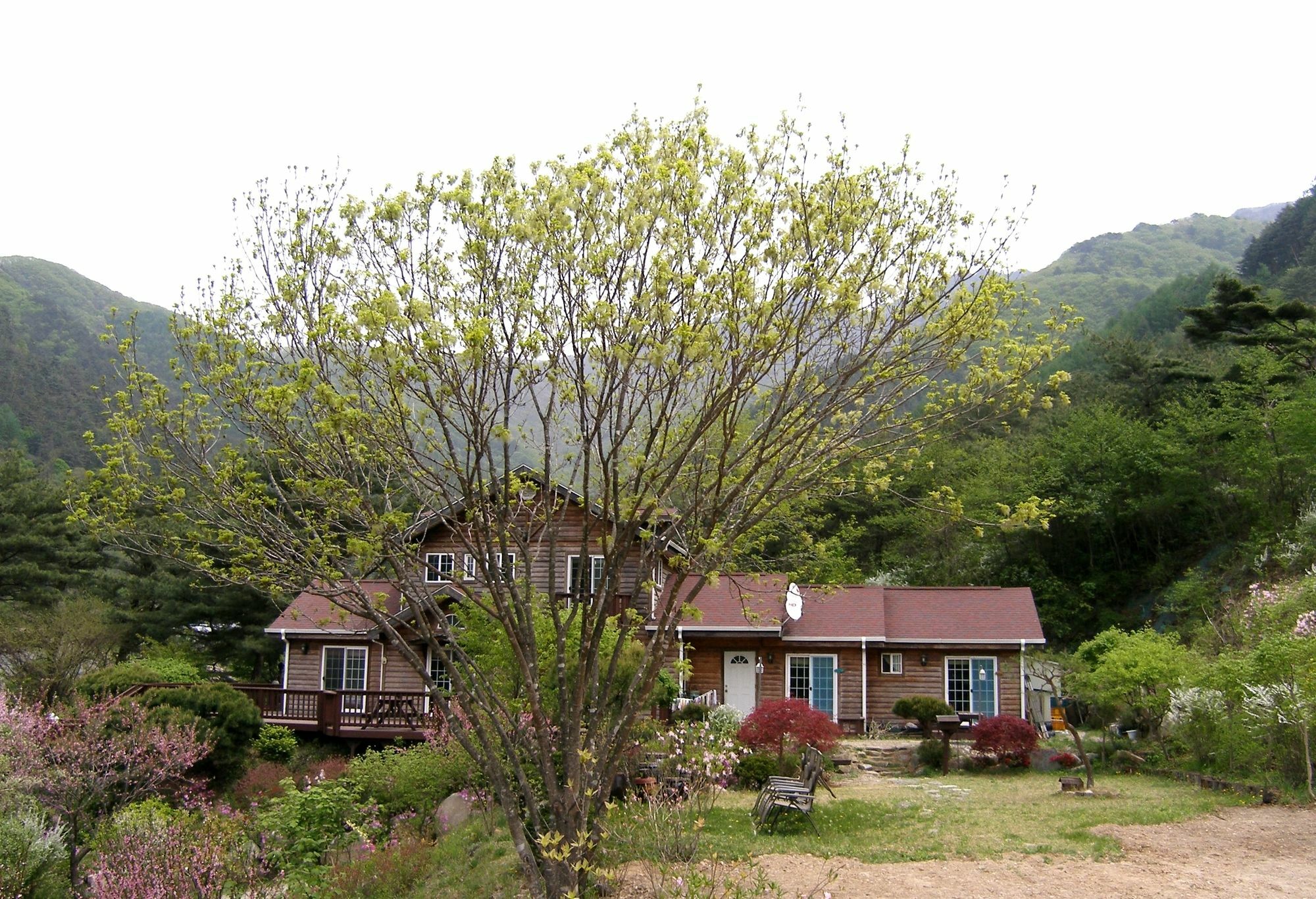 Fairy Tale Pension 平昌 外观 照片