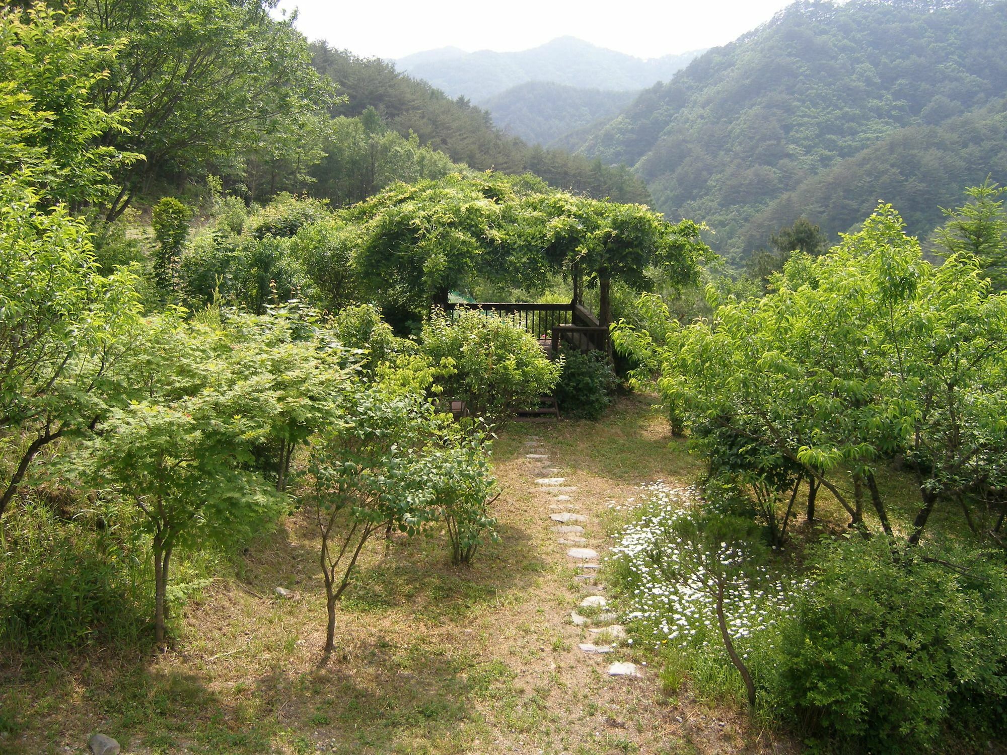 Fairy Tale Pension 平昌 外观 照片