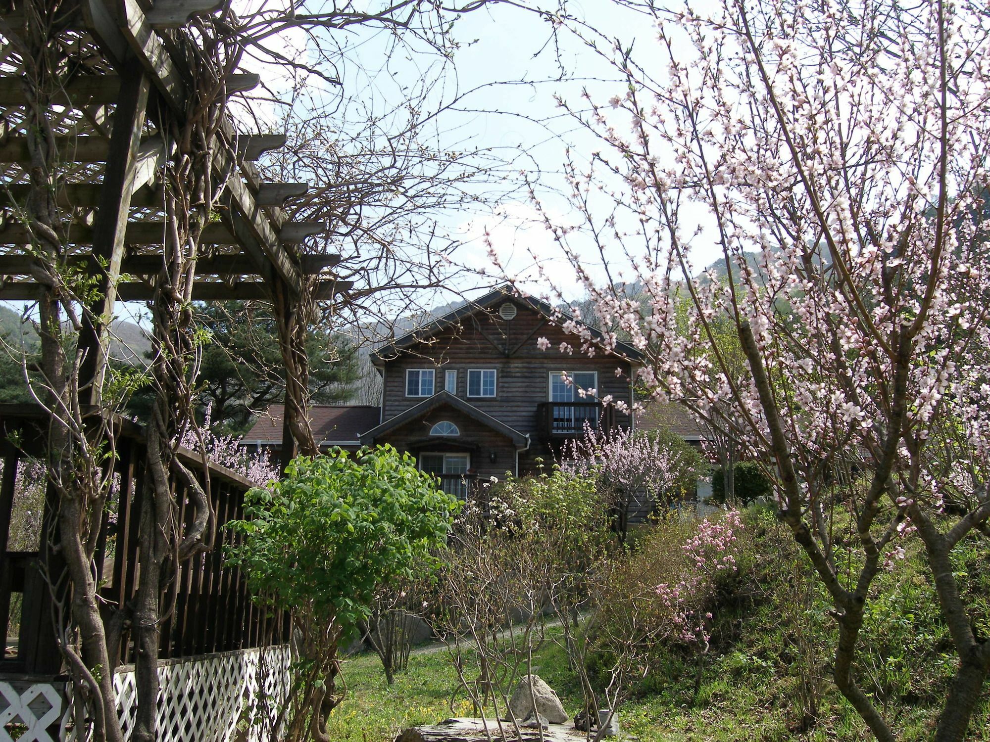 Fairy Tale Pension 平昌 外观 照片